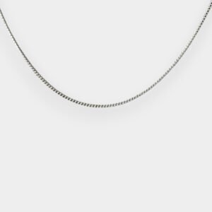 photo 4999208346632433713 y Photoroom