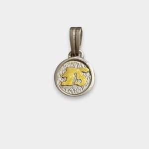 Dije 15 Grande Redondo Chico de Plata 925 y Oro